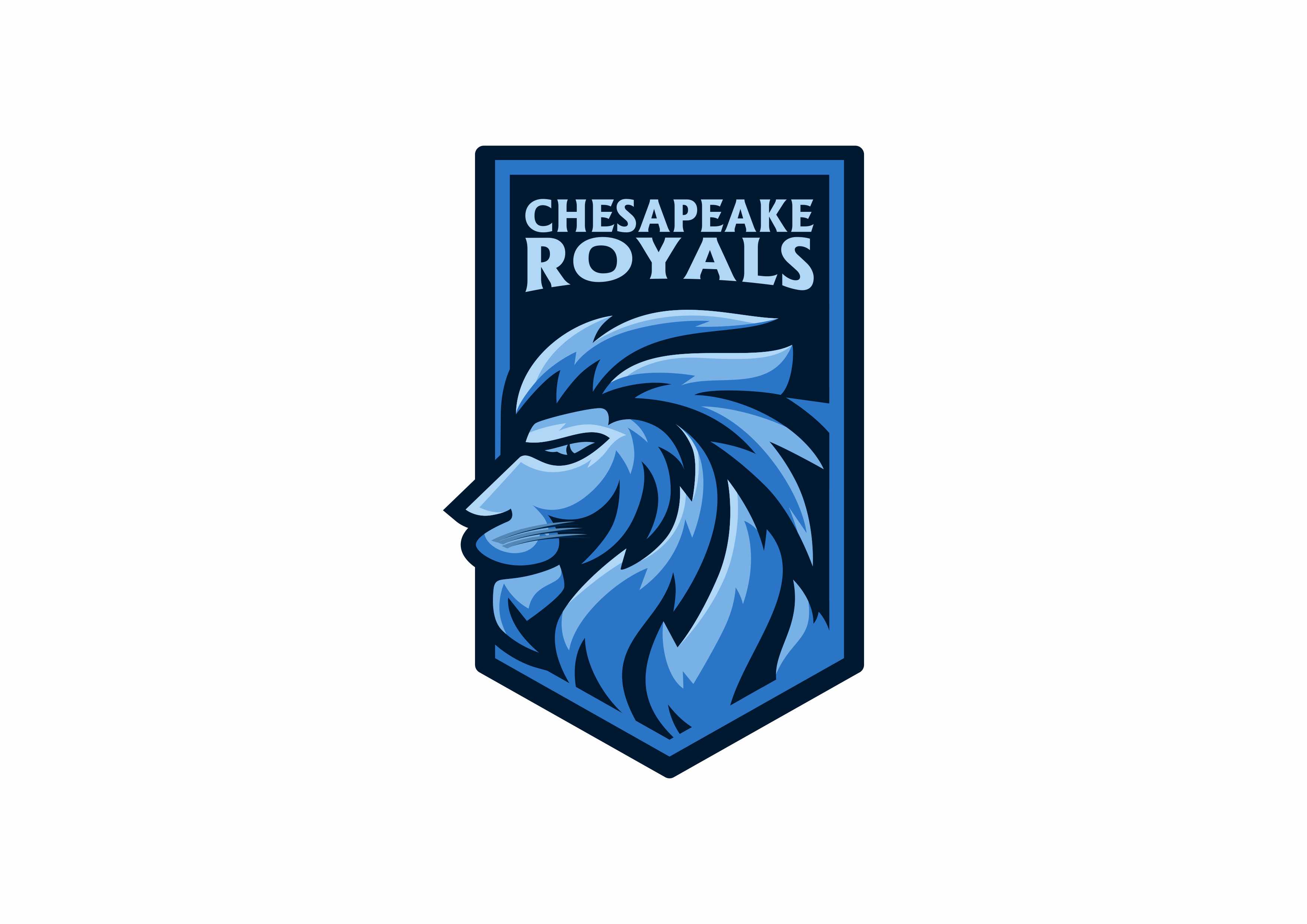 TPL Cricket